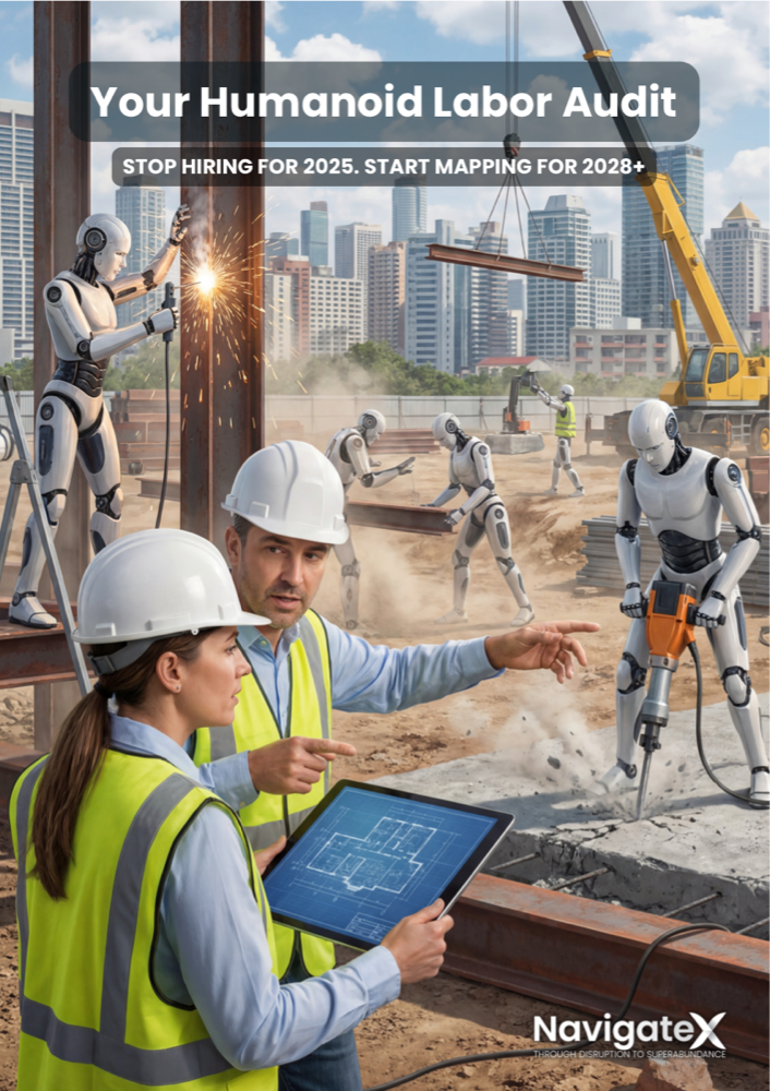 Workforce Audit brochure cover
